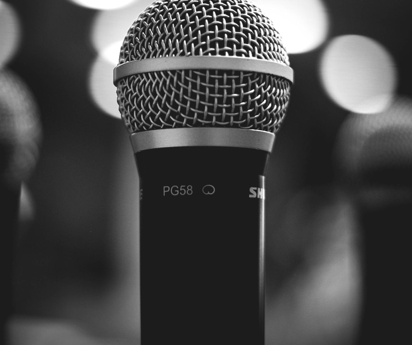 Professional studio microphone